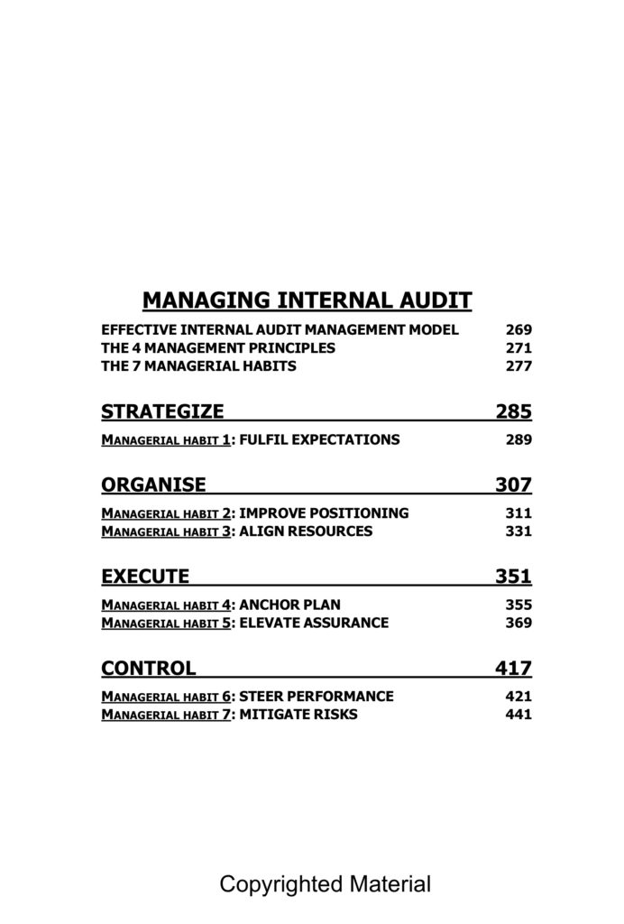 Preview Book the leadership and managerial habits of highly effective chief audit executives
